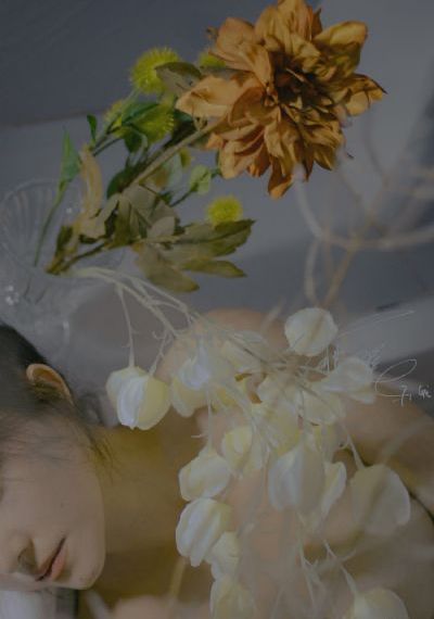 看91视频-免费日韩超清在线观看