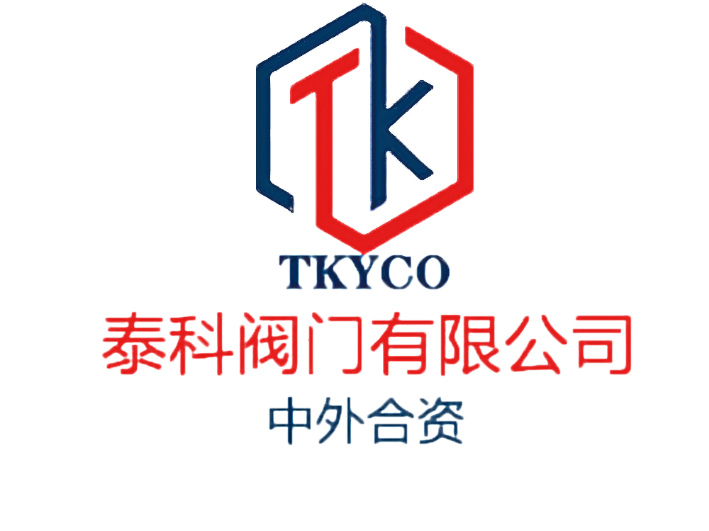 泰科閥門有限公司緩閉止回閥的結(jié)構(gòu)設(shè)計知識！